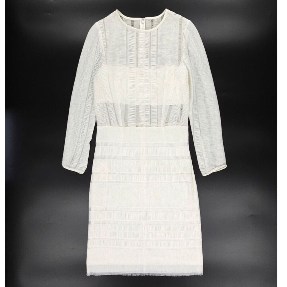 NWT Tadashi Shoji SHO Semi Sheer Long Sleeve Dress Ivory Clean Girl Minimal